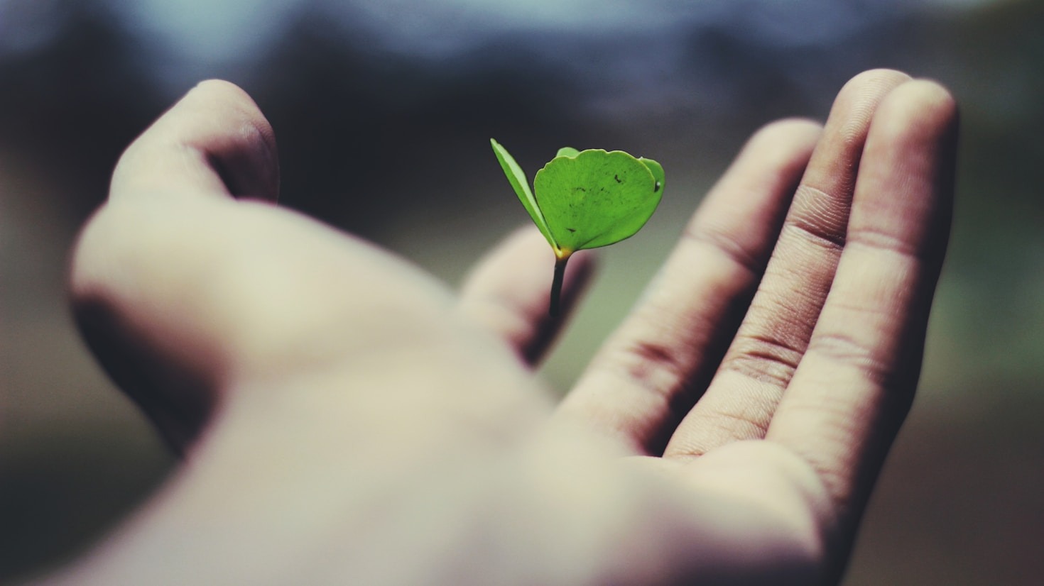 5 Tips to Overcome Ambivert Challenges