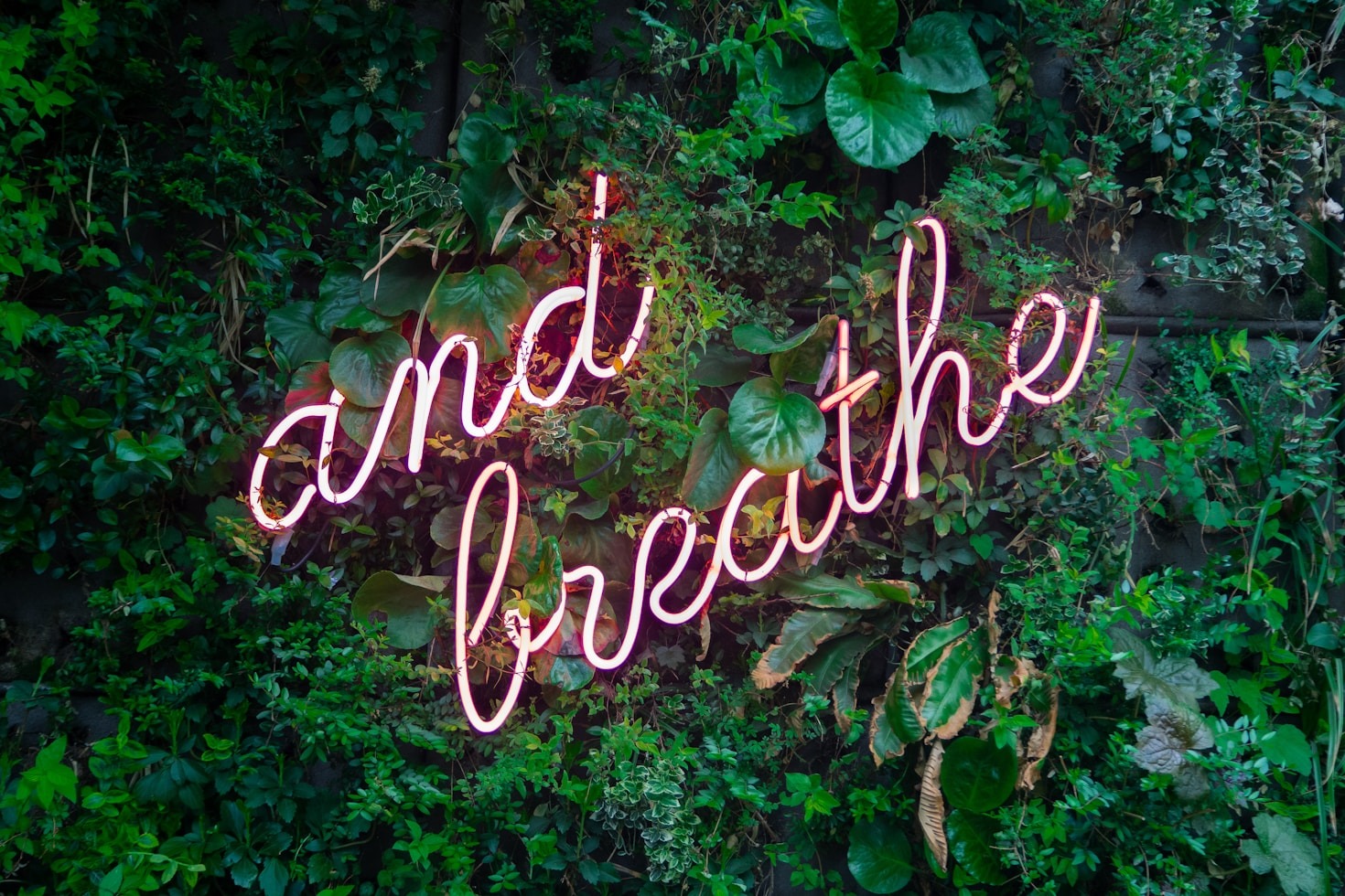 Lessons Learned from My Ambivert Personality